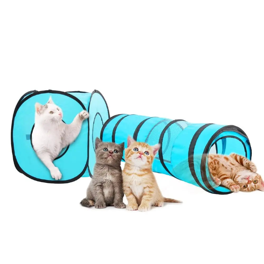 Playful cats exploring a colorful tunnel toy, perfect for indoor fun and exercise.
