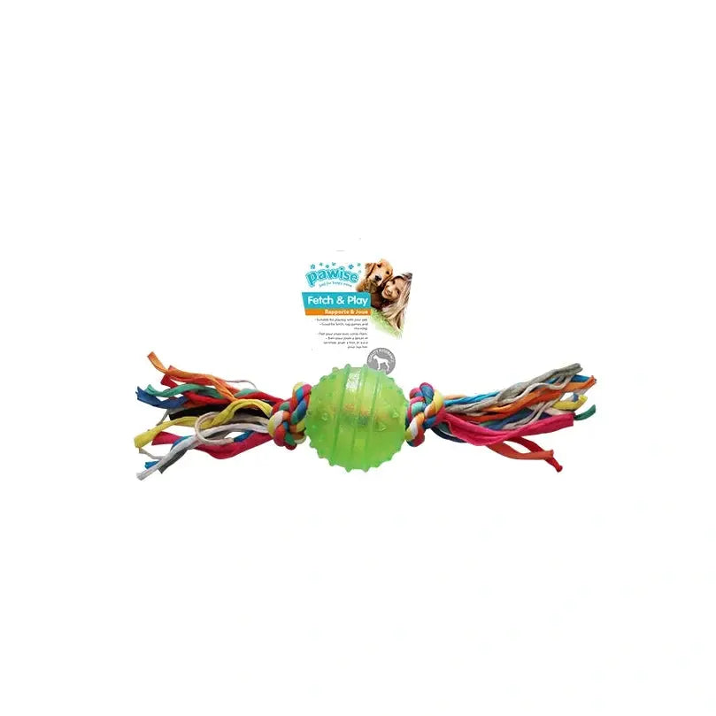 Pawise TPR Ball with Rope Fetch Dog Toy Small