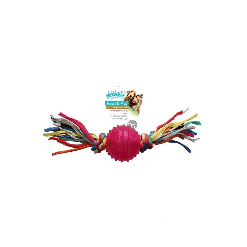 Pawise TPR Ball with Rope Fetch Dog Toy Small image 2