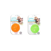 Pawise TPR Squeaky Ball Dog Toy