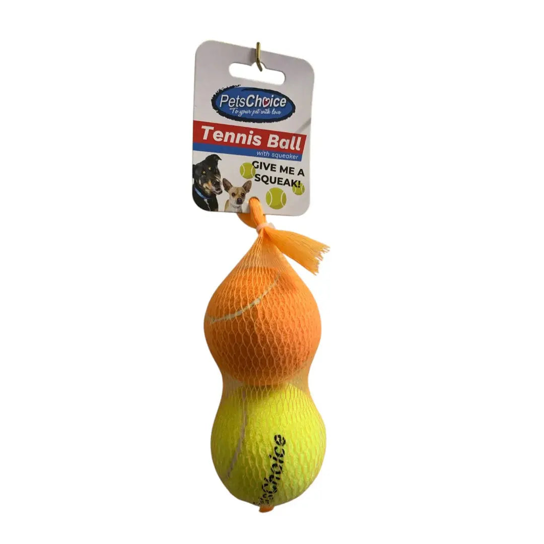 Pawise TPR Squeaky Ball Dog Toy   | Canine & Co