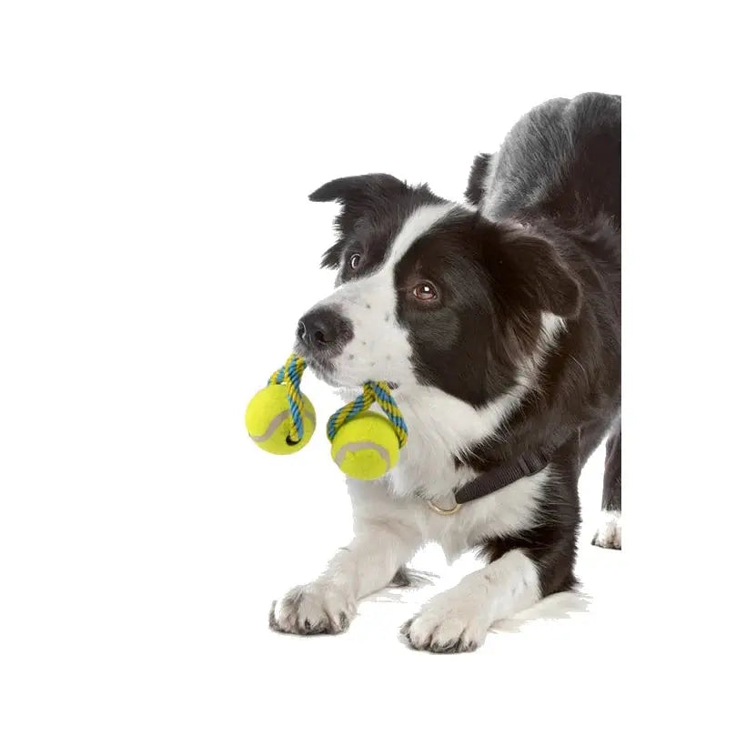 Pawise Tennis Bouncer Toss Fetch Dog Toy image 3