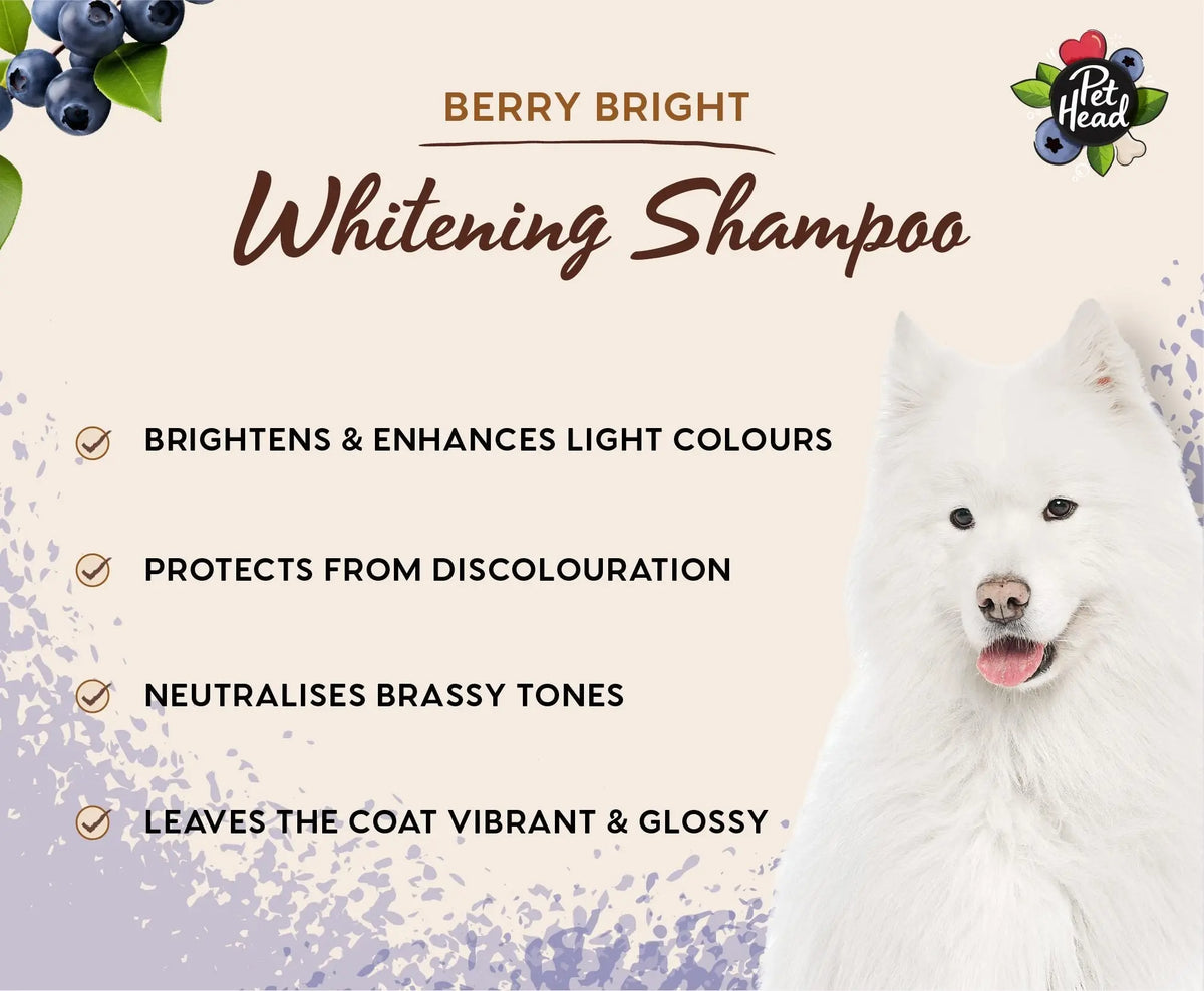 Pet Head Berry Bright Brightening Shampoo For Dogs   | Canine & Co