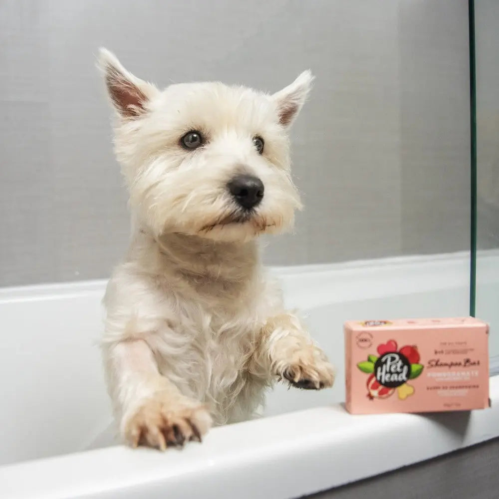 Dog in a bath with Pet Head shampoo bar packaging nearby, showcasing pet grooming essentials.