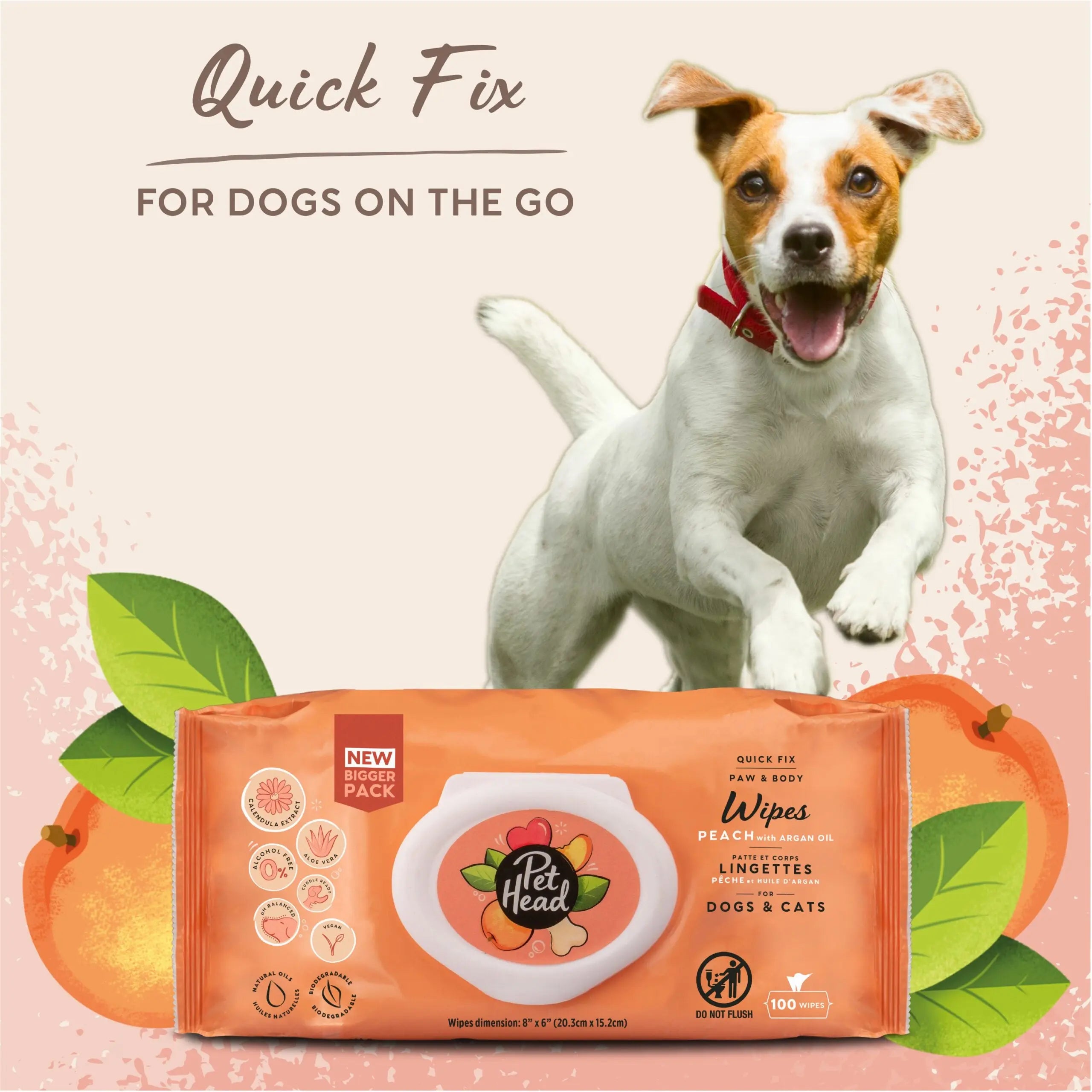Pet Head Quick Fix Wipes   | Canine & Co