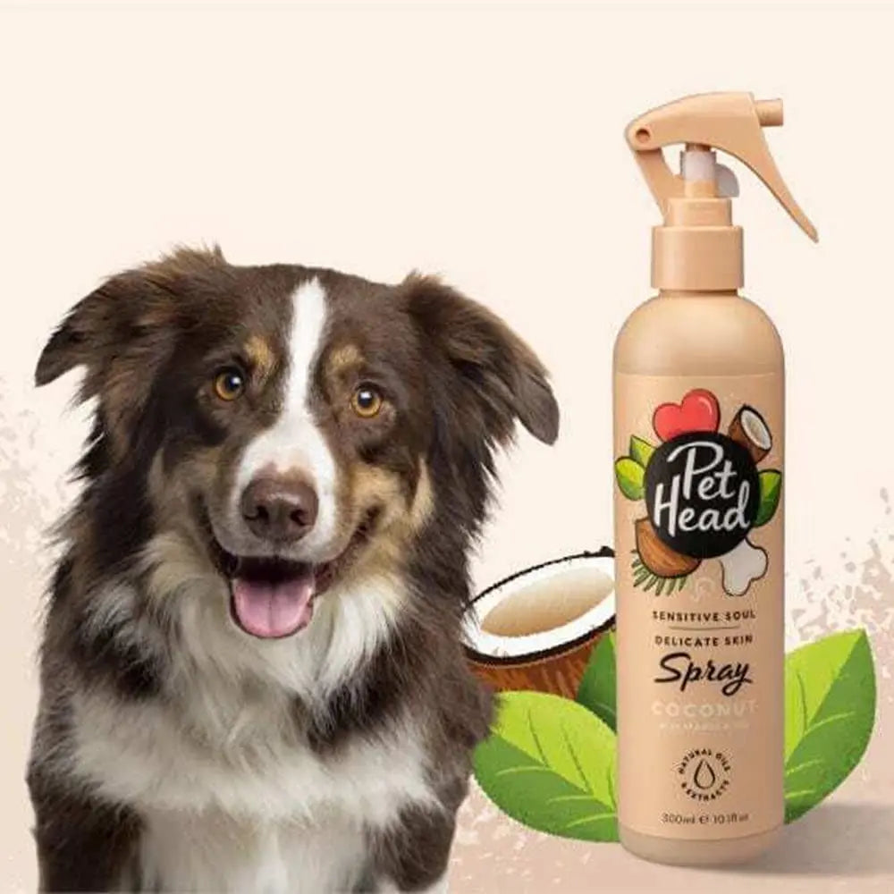 Dog with Pet Head coconut spray for sensitive skin, featuring a coconut and leaf design.