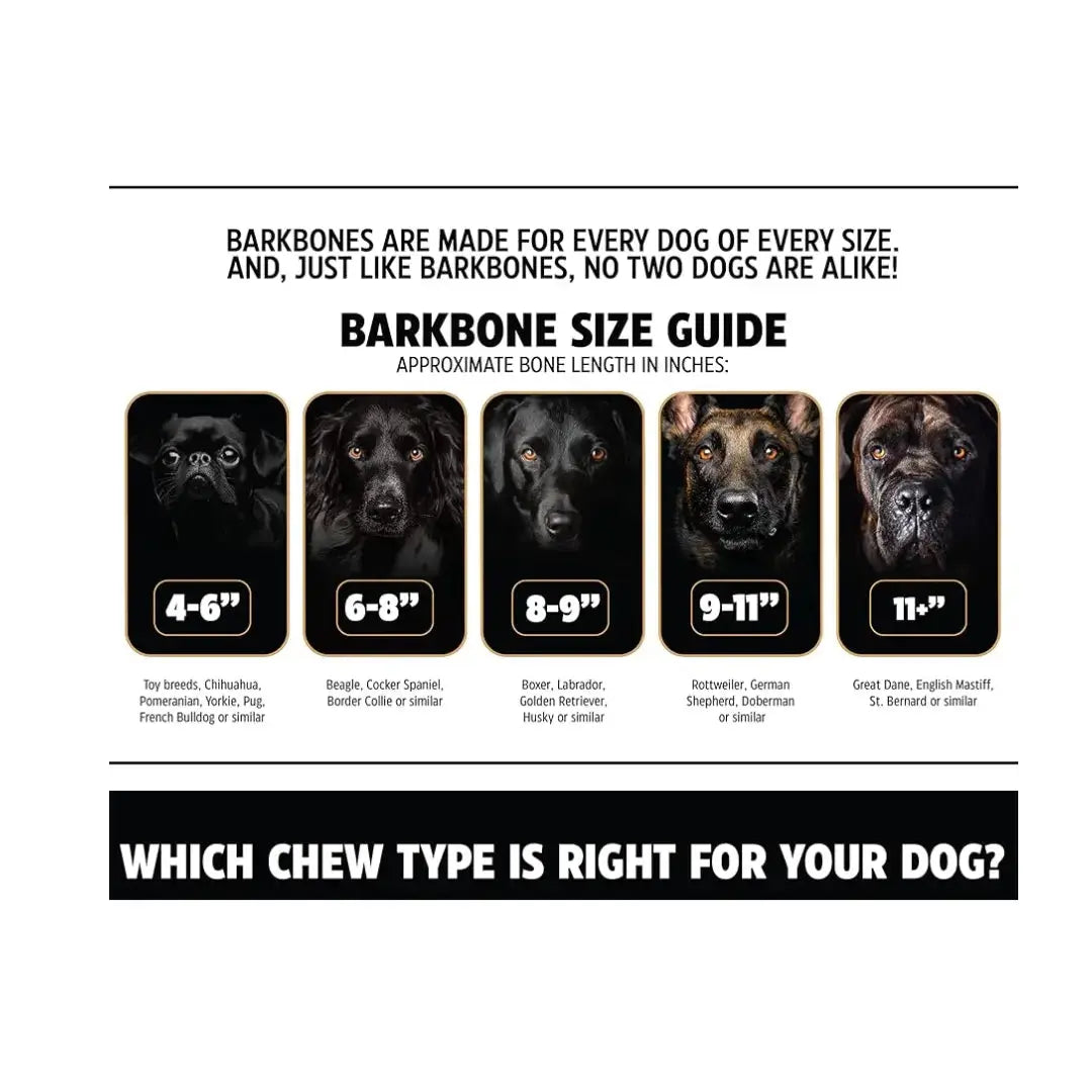 Pet Qwerks Dino Wood Barkbone Steak Dog Toy   | Canine & Co