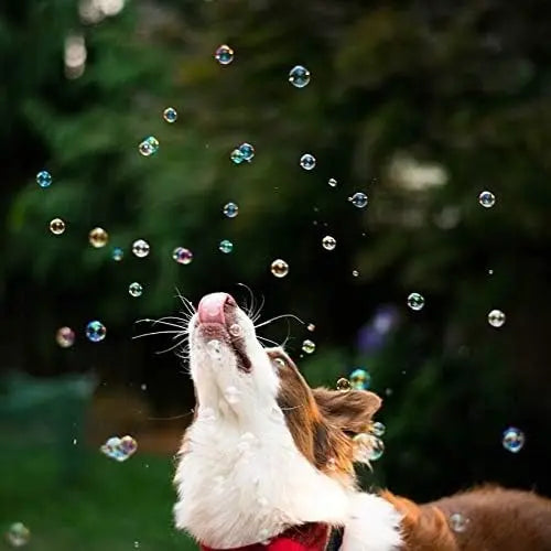 Dog joyfully playing with colorful bubbles in a sunny outdoor setting.