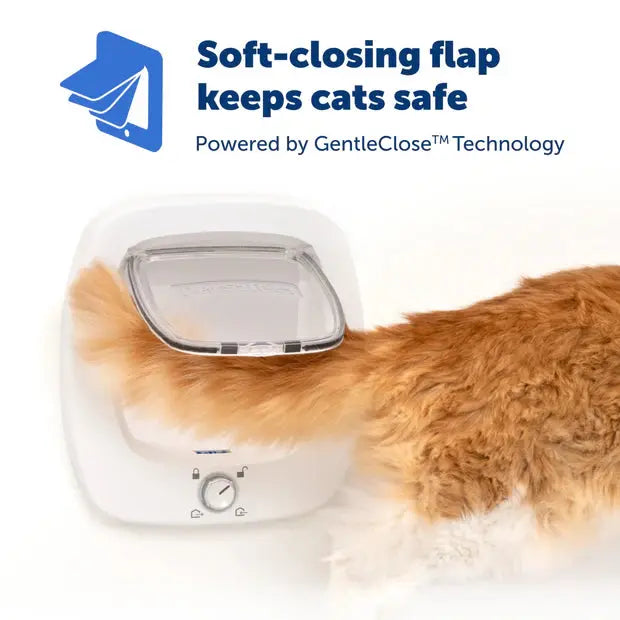PetSafe Big Cat Flap   | Canine & Co