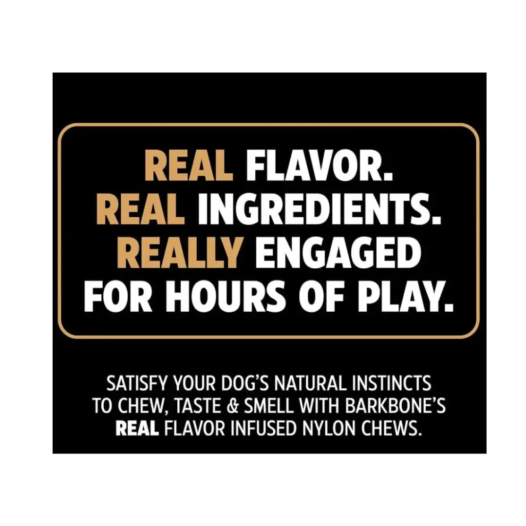 Pet Qwerks Dino Wood Barkbone Steak Dog Toy