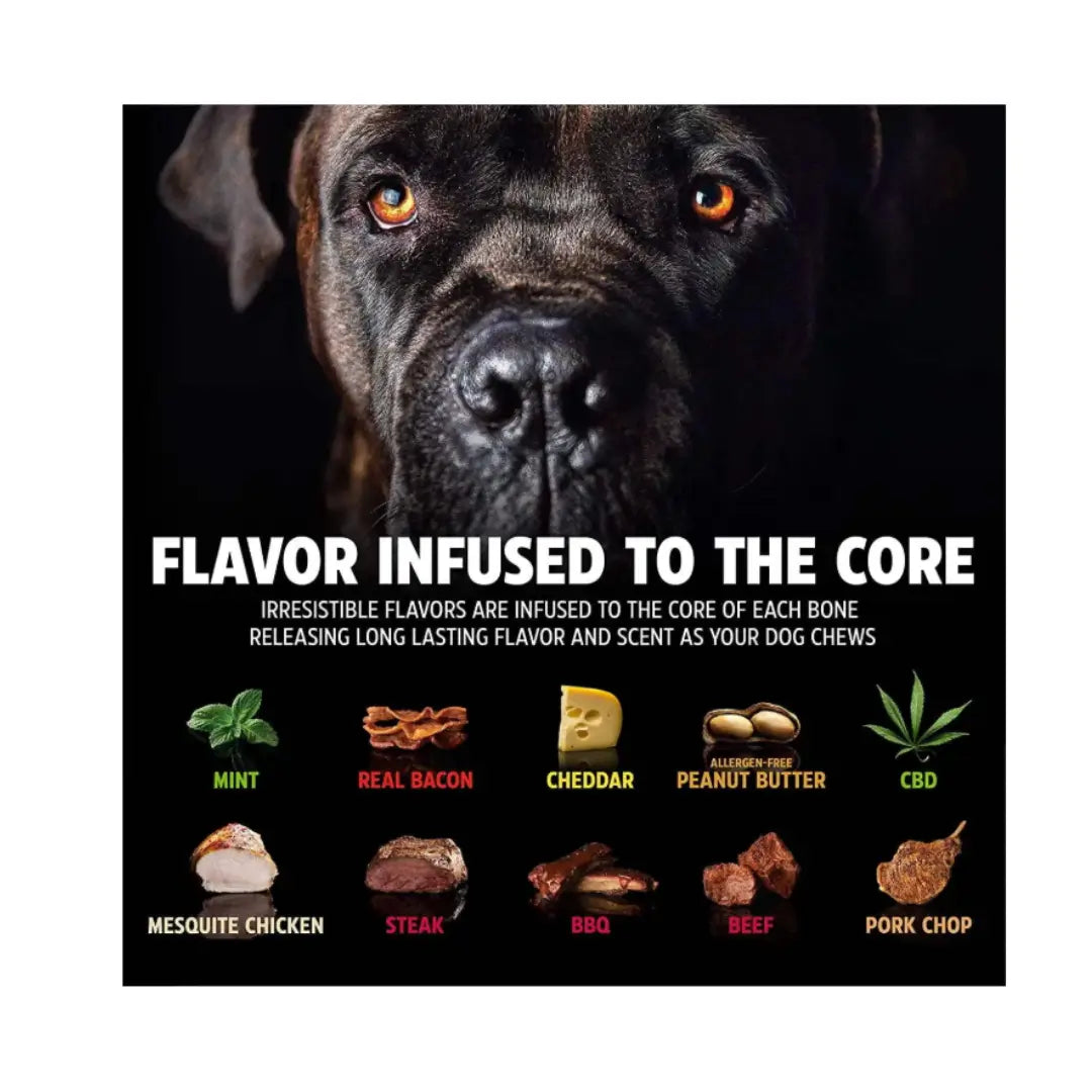 Pet Qwerks Dino Wood Barkbone Steak Dog Toy