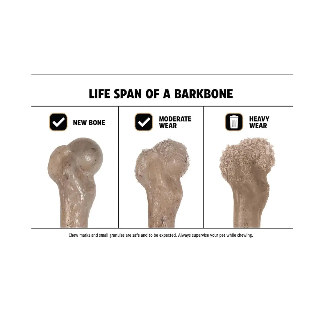 Pet Qwerks Dino Wood Barkbone Steak Dog Toy