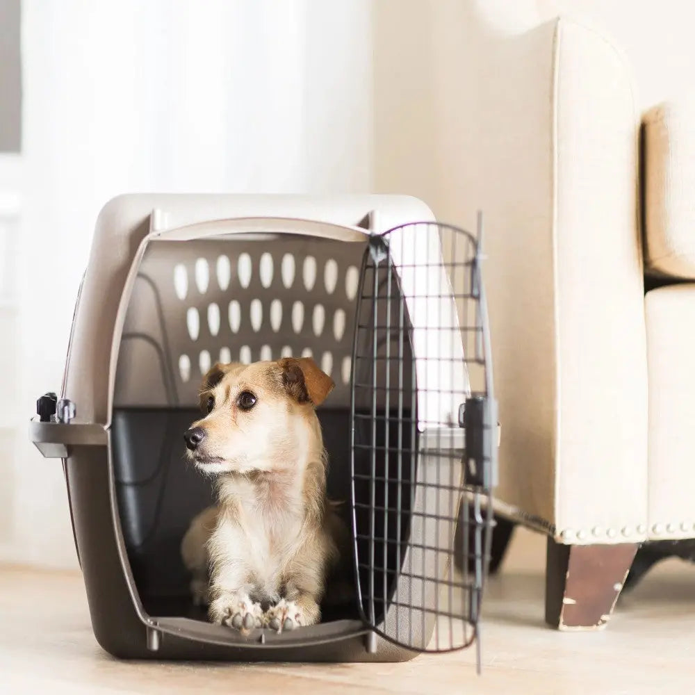 Dog resting inside a cozy pet carrier, perfect for travel and safety.