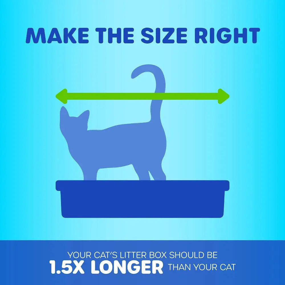 Infographic showing ideal litter box size for cats, emphasizing it should be 1.5 times their length.