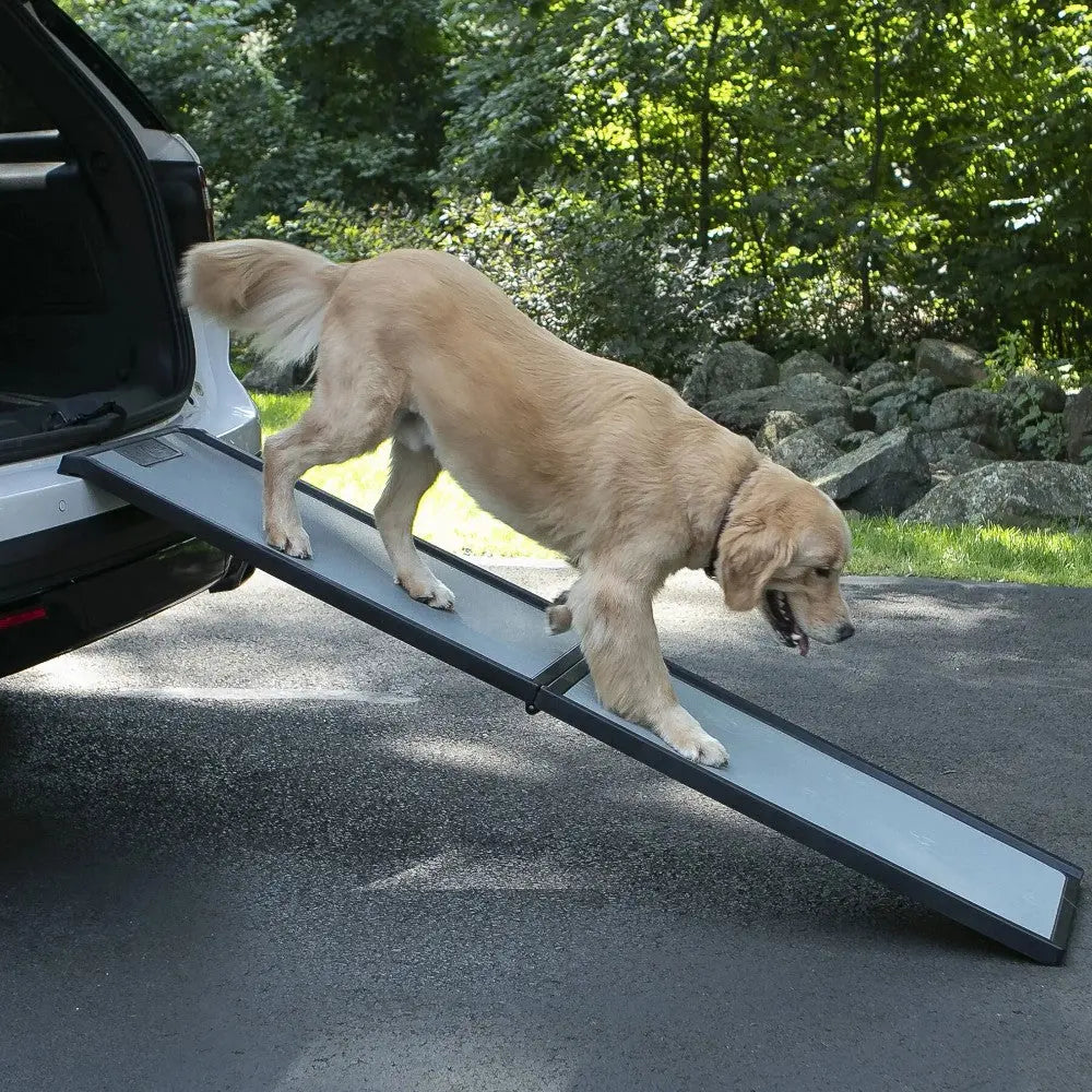 Golden retriever using a pet ramp to safely enter a vehicle outdoors.
