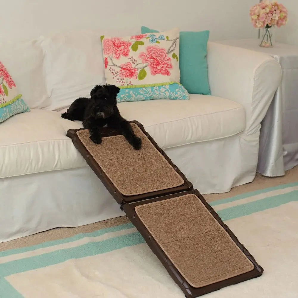 Dog ramp on a couch, providing easy access for pets to relax comfortably.