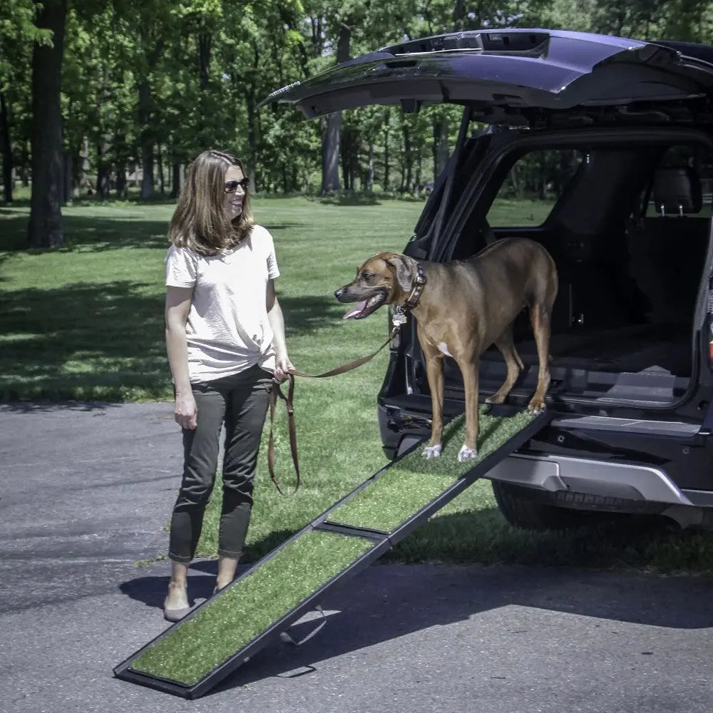 Dog ramp for easy vehicle access, featuring a woman and her dog in a park setting.