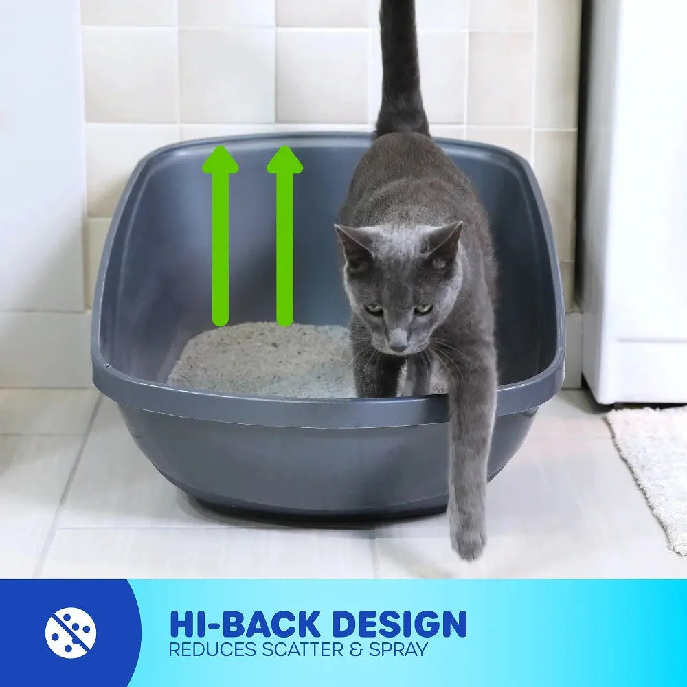 Cat using a high-back litter box designed to reduce scatter and spray for a cleaner environment.