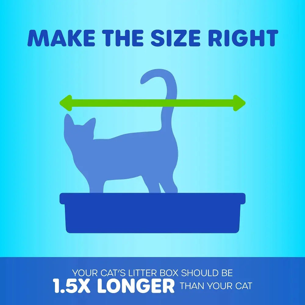 Infographic showing ideal litter box size for cats, emphasizing it should be 1.5x longer than the cat.