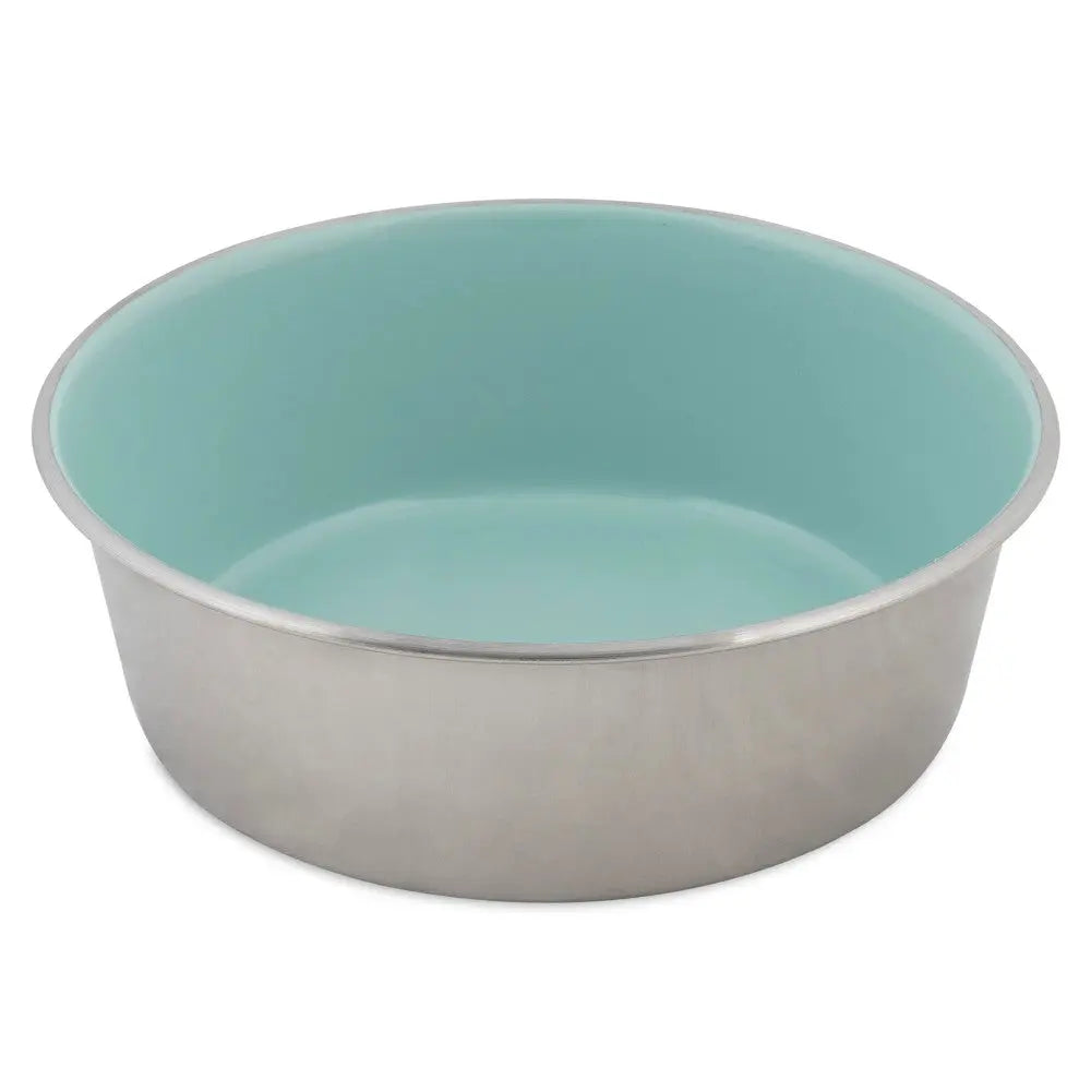 Stainless steel pet bowl with a turquoise interior, perfect for food or water.