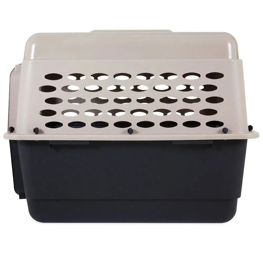 Pet carrier with ventilation holes for safe and comfortable travel for cats and small dogs.