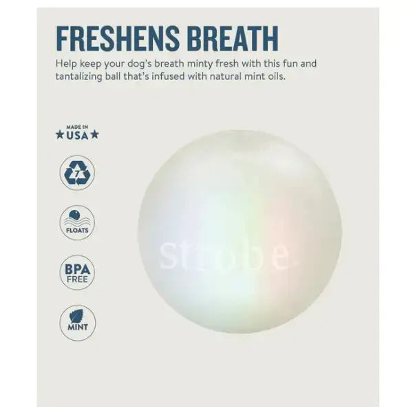 Petstages Strobe Ball   | Canine & Co
