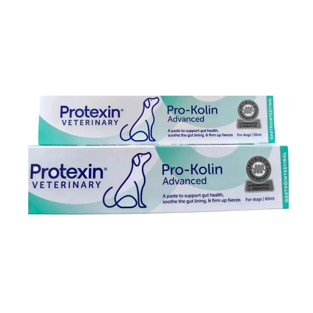 Pro-Kolin Advanced Probiotic Paste Dogs   | Canine & Co