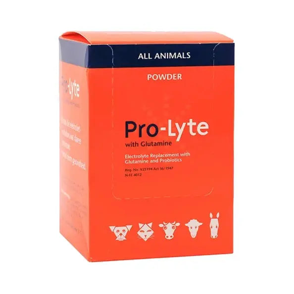Pro-Lyte Electrolyte Sachets 10x20g   | Canine & Co