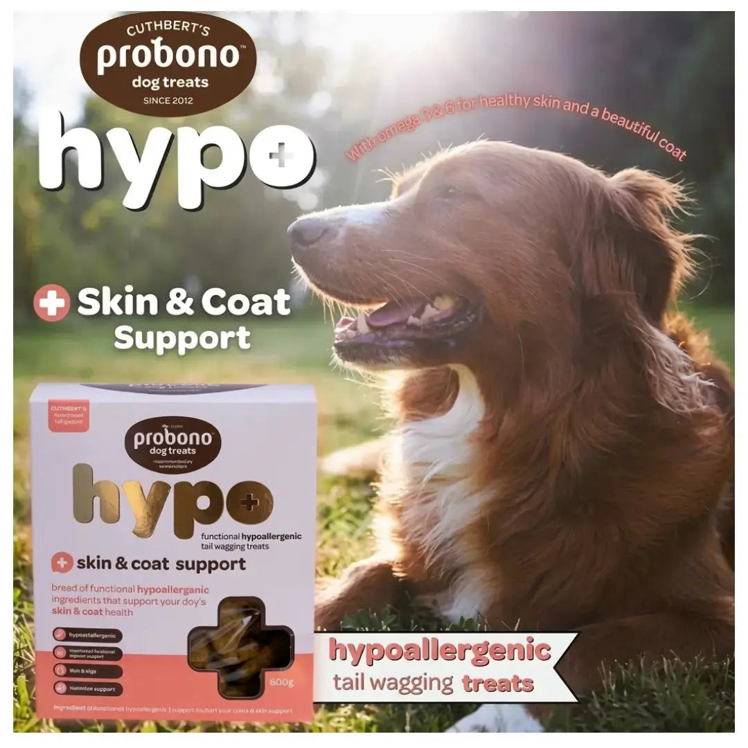 Probono Hypoallergenic Skin and Coat Support Dog Biscuits   | Canine & Co