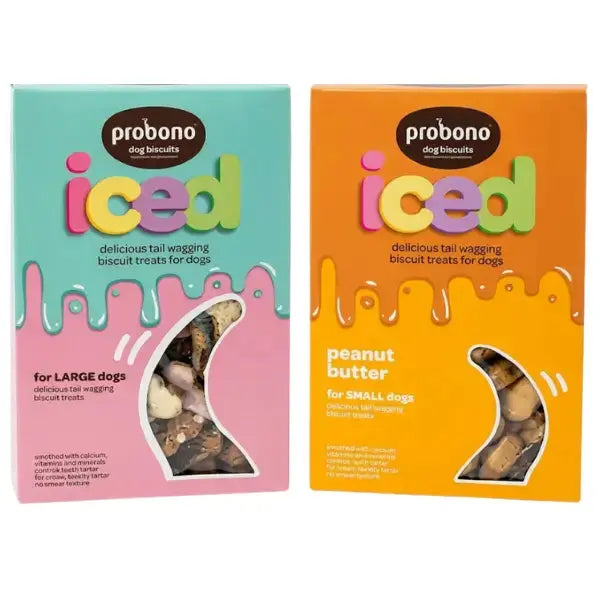 Probono Peanut Butter Iced Dog Biscuit Treats   | Canine & Co