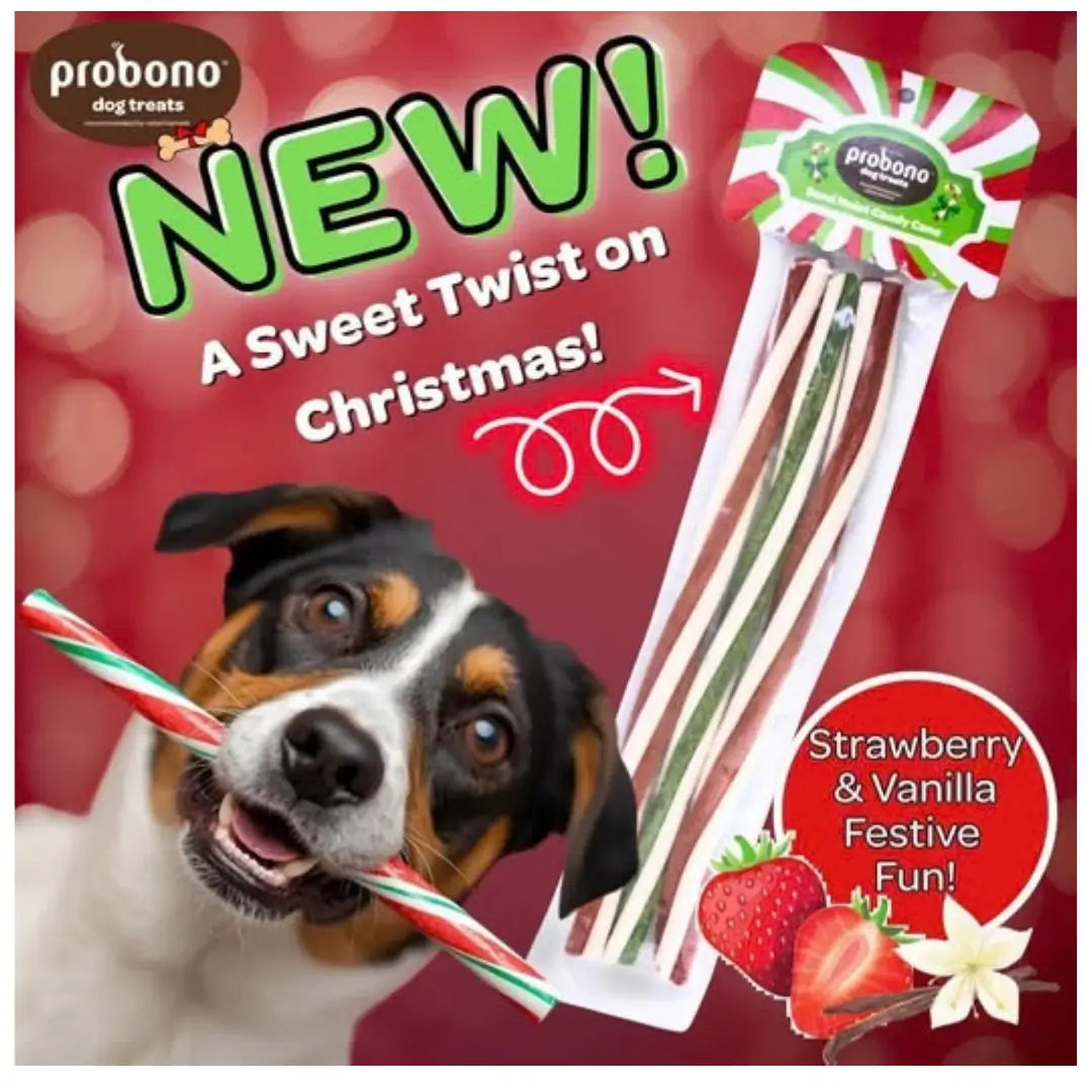Probono Christmas Semi-Moist Candy Cane Dog Treat