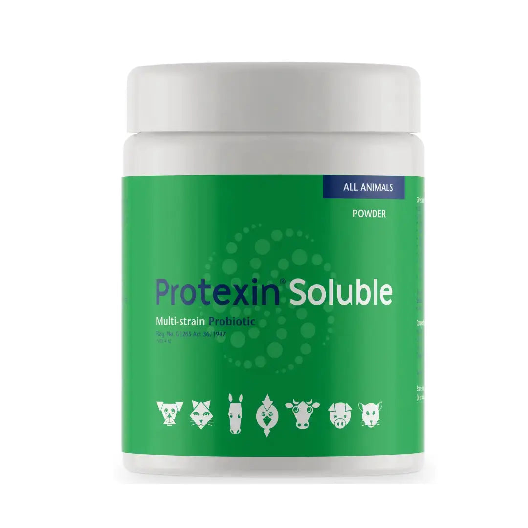Protexin Soluble   | Canine & Co