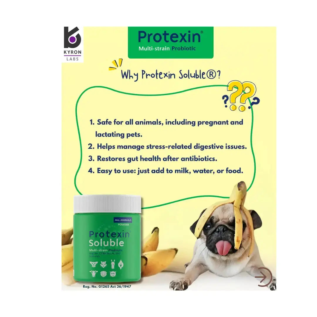 Protexin Soluble   | Canine & Co