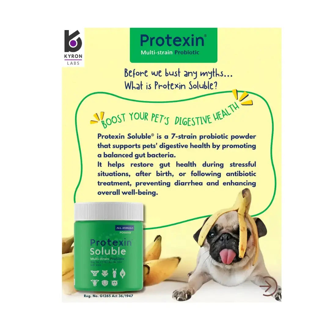 Protexin Soluble   | Canine & Co