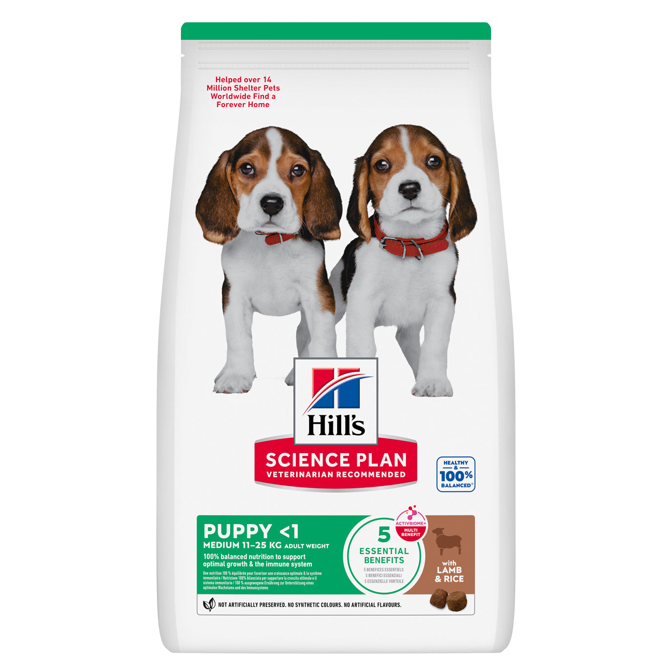 Hill’s Science Plan Medium Breed Puppy Dry Dog Food, Lamb & Rice   | Canine & Co