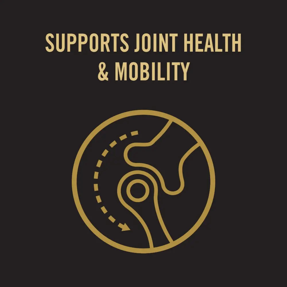 Icon illustrating support for joint health and mobility with a stylized joint design.