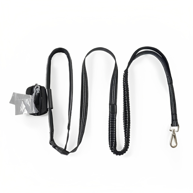 Rosewood Reflective Exercise Lead