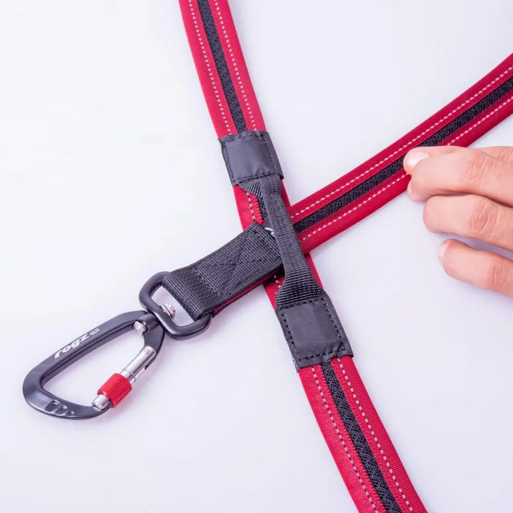 Durable red dog leash with a secure carabiner clip for safe outdoor adventures.