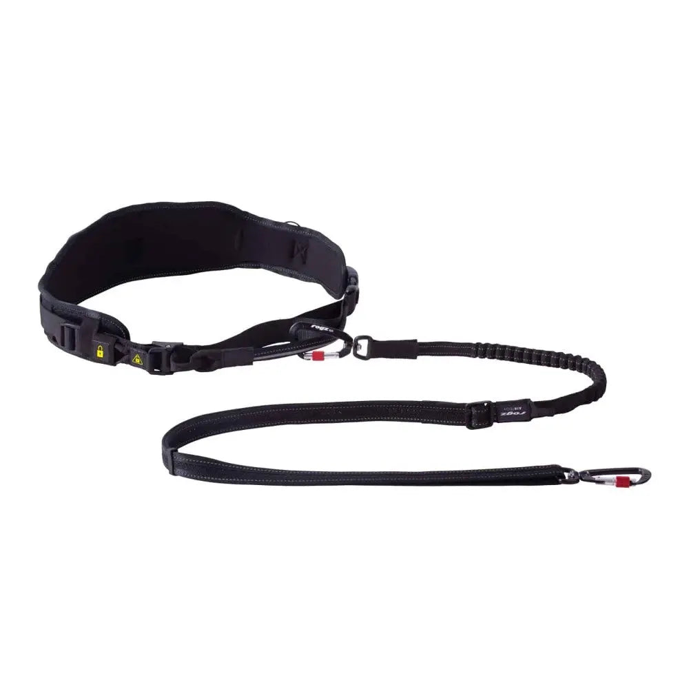 Adjustable dog leash with padded belt and bungee for comfortable hands-free walking.