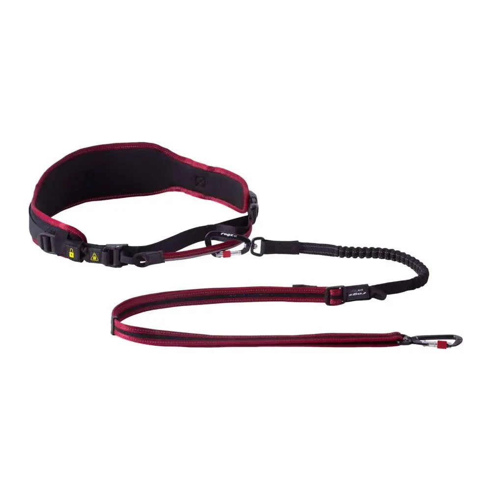 Adjustable dog leash with padded belt and bungee for comfortable hands-free walking.