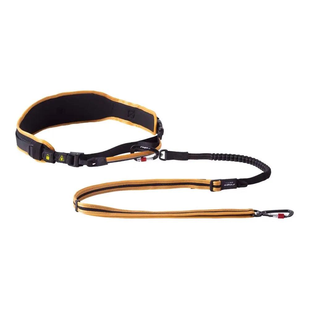 Adjustable dog leash with padded belt and bungee for comfortable hands-free walking.