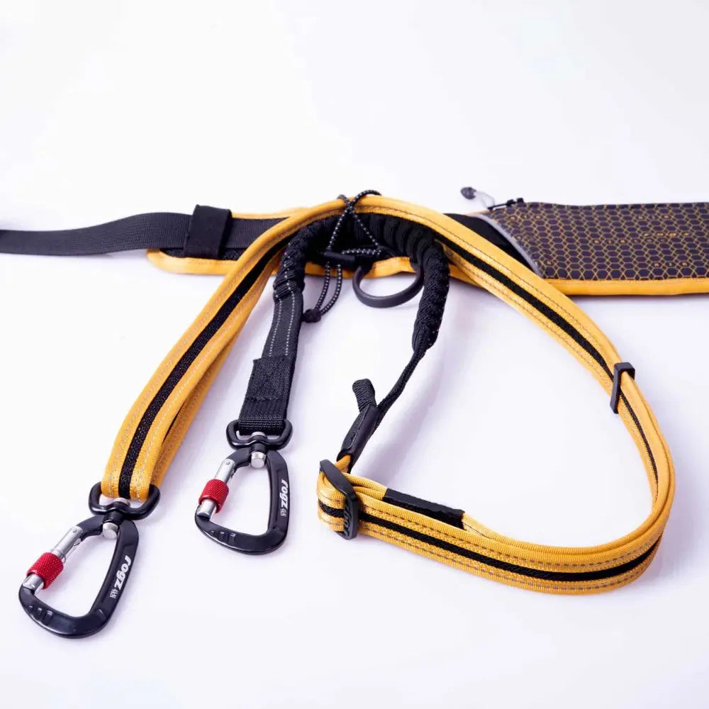 Durable dog leash with dual attachments and ergonomic design for comfortable walks.