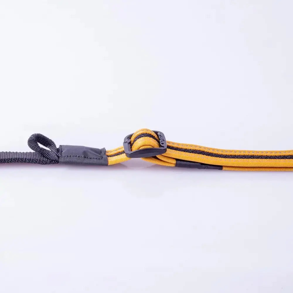 Durable yellow and black dog leash with a secure knot for added strength and control.