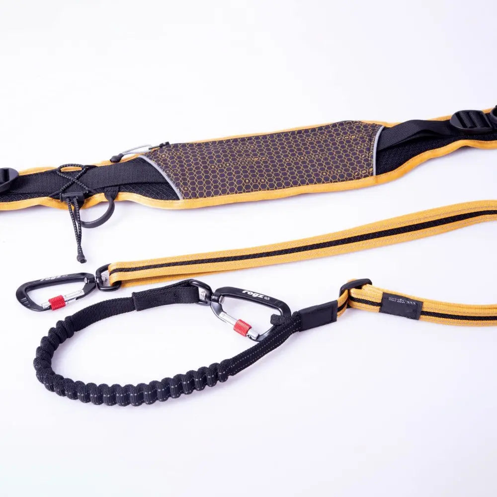 Dog leash and harness set with padded handle and bungee for comfortable walks and control.
