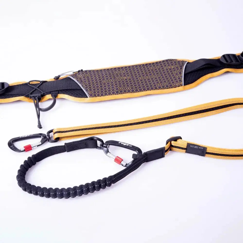 Dog leash and harness set with padded handle and bungee for comfortable walks and control.