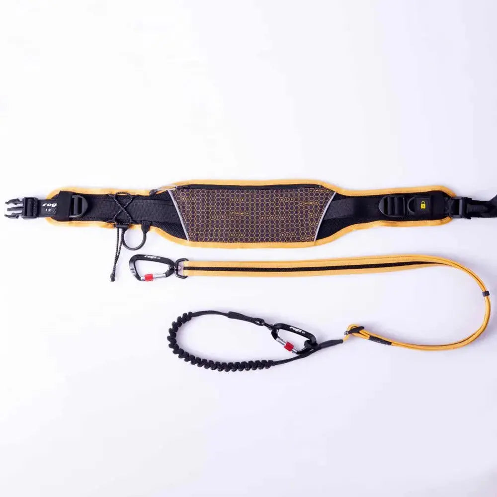 Dog training leash with padded harness and bungee for comfort and control during walks.