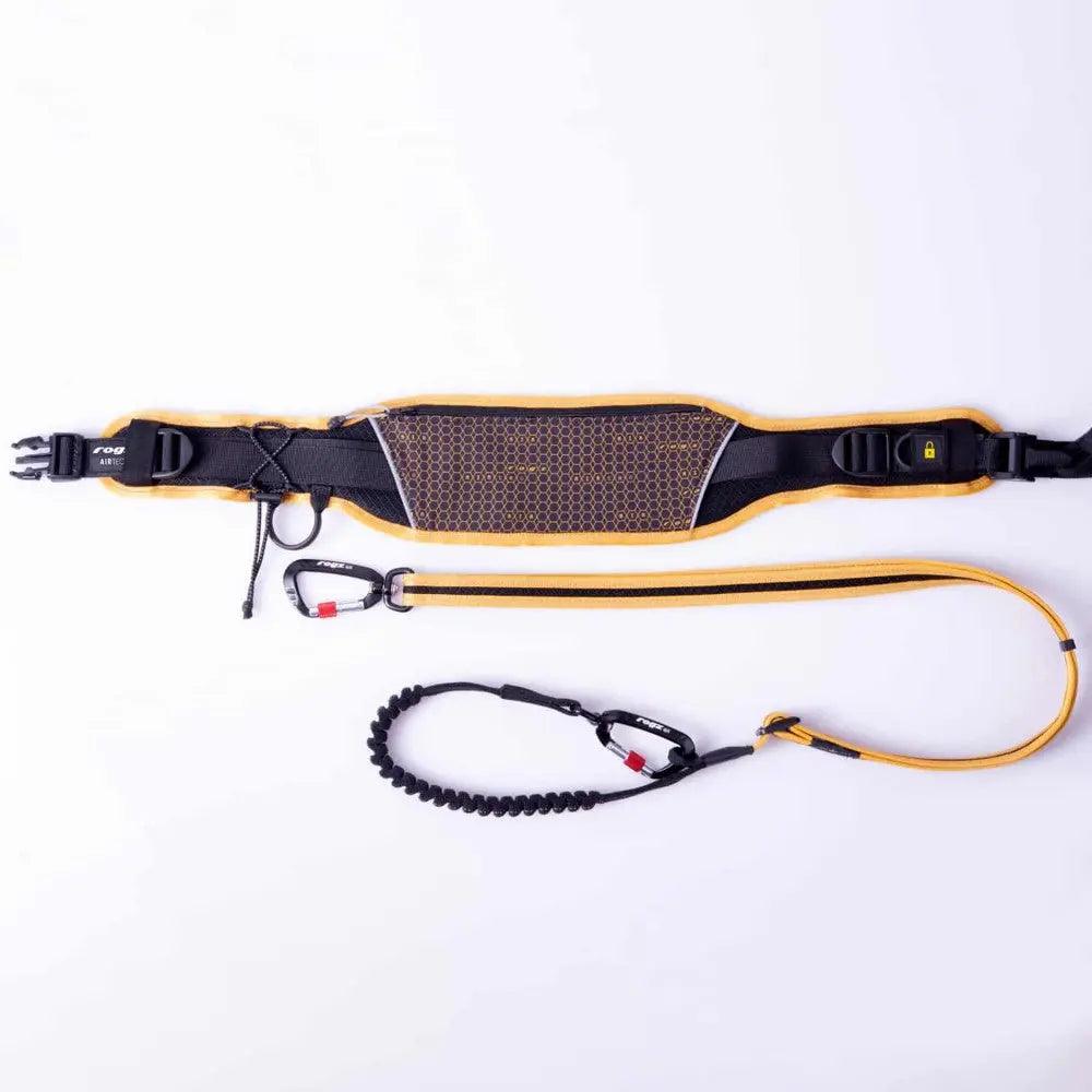 Dog training leash with padded harness and bungee for comfort and control during walks.