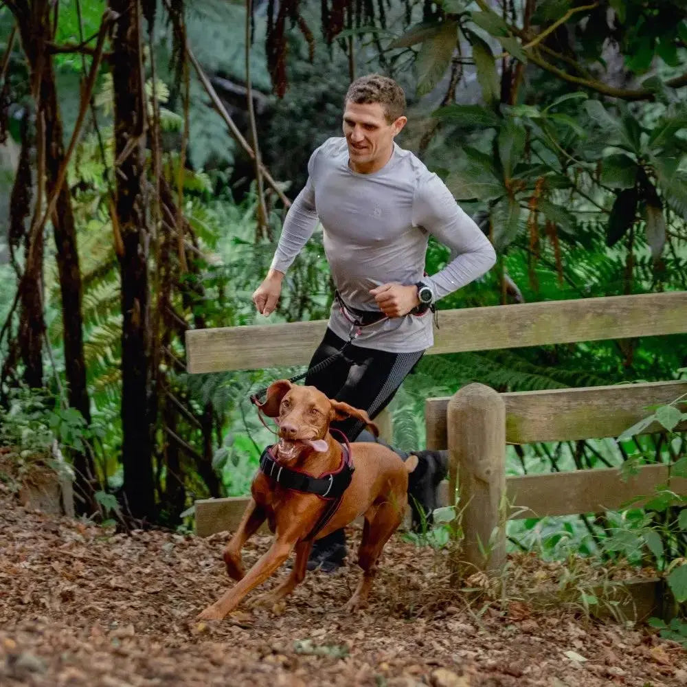 Man jogging with a dog in a forest, showcasing an active outdoor lifestyle and pet companionship.