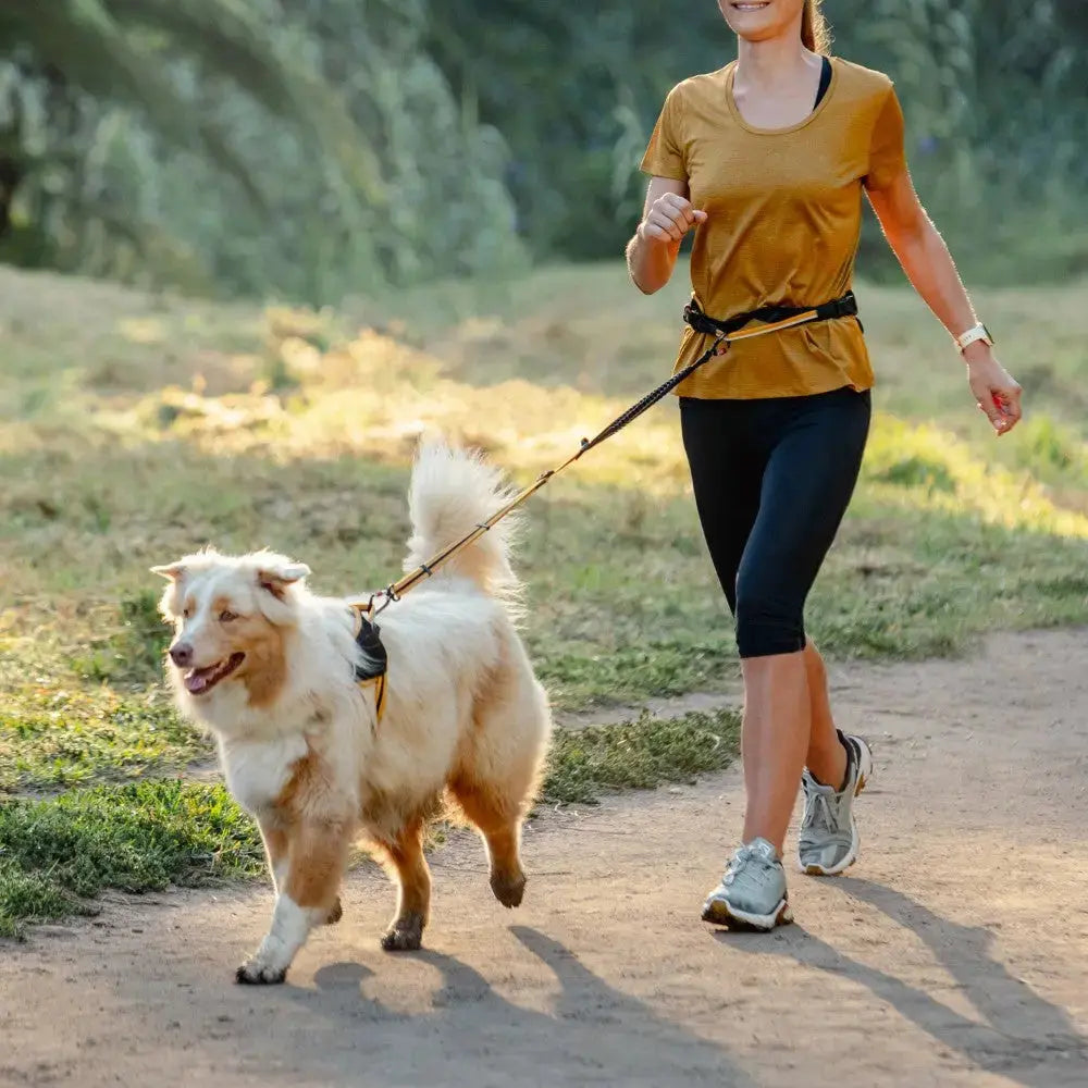 Woman jogging with a happy dog on a leash in a sunny park setting.