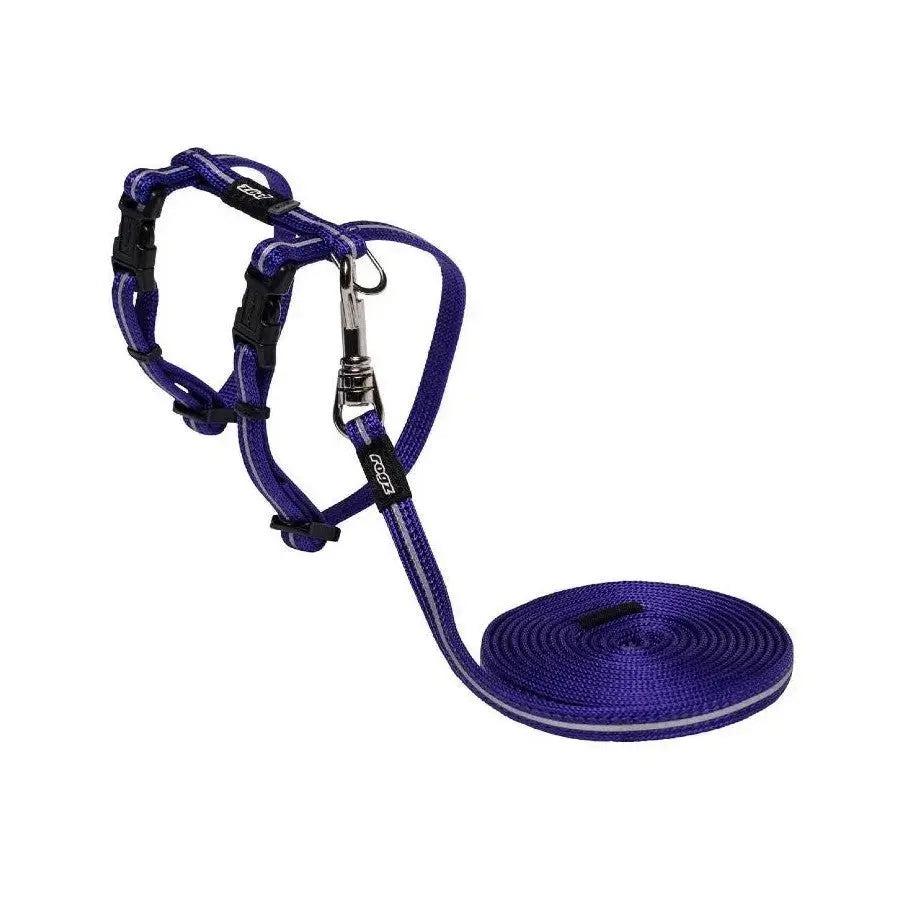 Purple dog harness and leash set, durable design for comfortable walks and training.